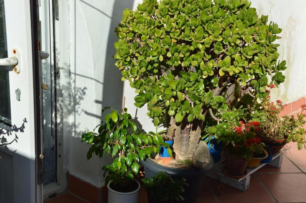B&B Spiraglio Syracuse Esterno foto